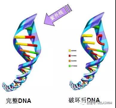 疫情当下，米乐m6
场馆的运营者们还能轻视消毒吗？