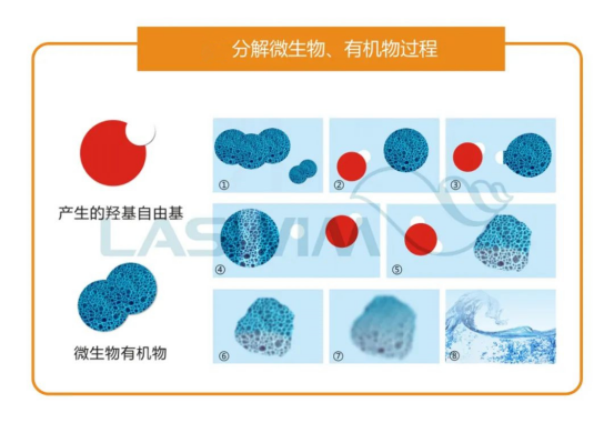 AOP的羟基自由基分解微生物、有机物过程